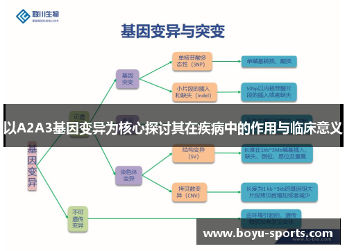 以A2A3基因变异为核心探讨其在疾病中的作用与临床意义